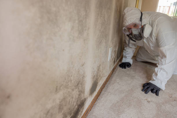 Best Mold Prevention Services  in Conning Towers Nautilus Park, CT